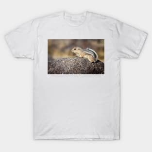 White-tailed Antelope Ground Squirrel T-Shirt